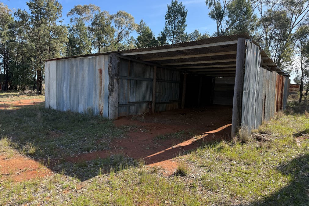 Osterley 900 Moira Vale Road, Tottenham, NSW, 2873 - Image 21