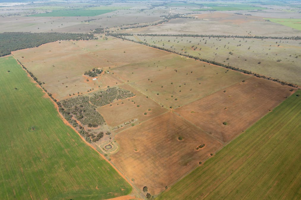 Osterley 900 Moira Vale Road, Tottenham, NSW, 2873 - Image 11