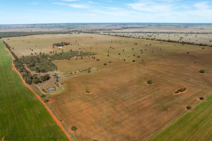 Osterley 900 Moira Vale Road, Tottenham, NSW, 2873 - Image 1