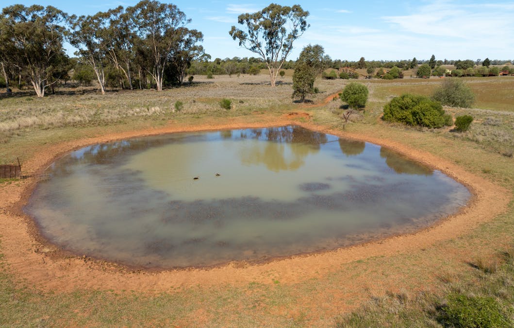Osterley 900 Moira Vale Road, Tottenham, NSW, 2873 - Image 12