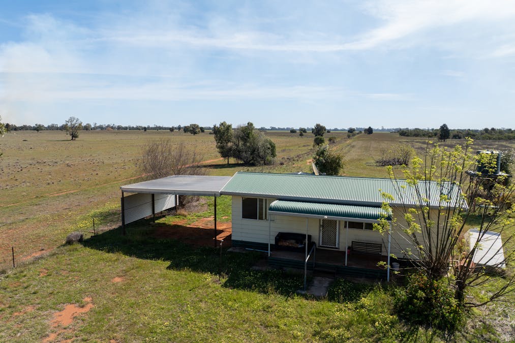 Osterley 900 Moira Vale Road, Tottenham, NSW, 2873 - Image 3