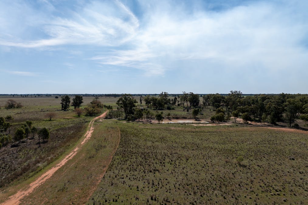 Osterley 900 Moira Vale Road, Tottenham, NSW, 2873 - Image 18