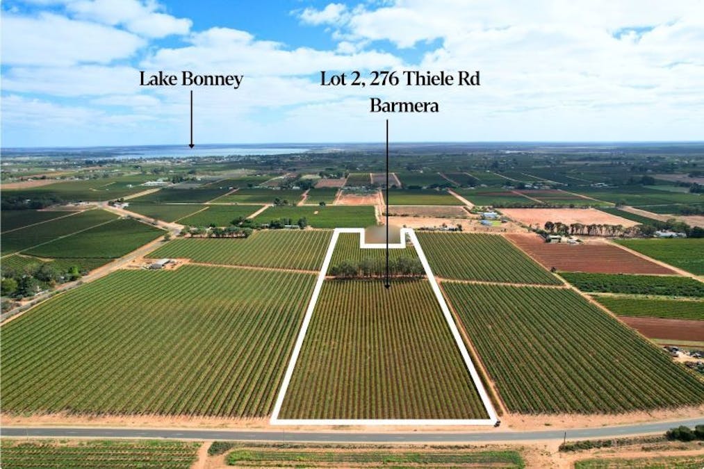 Lot 2 - 27 Thiele Road, Barmera, SA, 5345 - Image 1