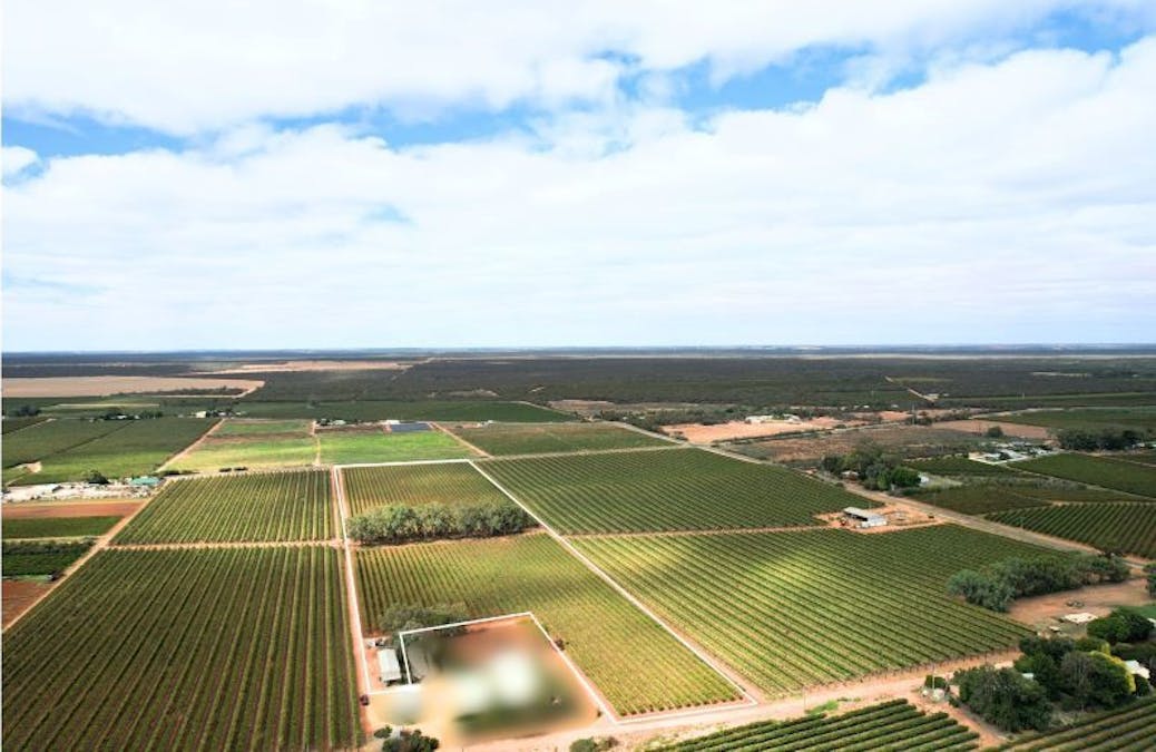 Lot 2 - 27 Thiele Road, Barmera, SA, 5345 - Image 2