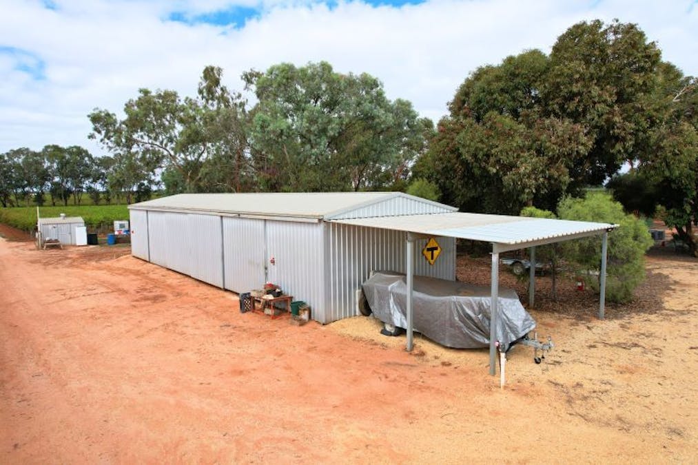 Lot 2 - 27 Thiele Road, Barmera, SA, 5345 - Image 3