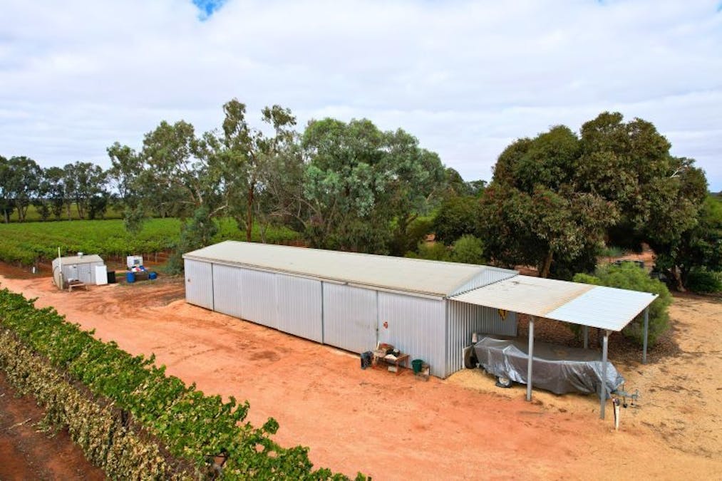 Lot 2 - 27 Thiele Road, Barmera, SA, 5345 - Image 4