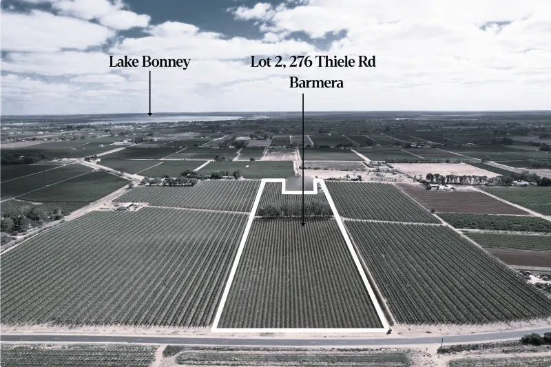 Lot 2 - 27 Thiele Road, Barmera, SA, 5345 - Image 1