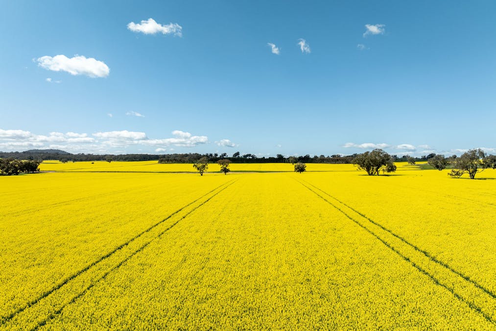 484 Merri Meric Road, Henty, NSW, 2658 - Image 1