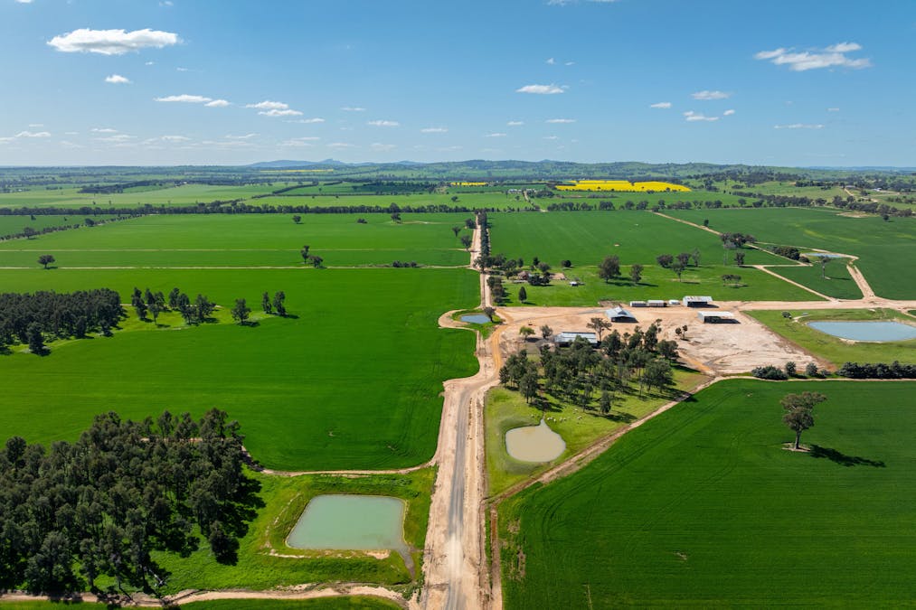 484 Merri Meric Road, Henty, NSW, 2658 - Image 15