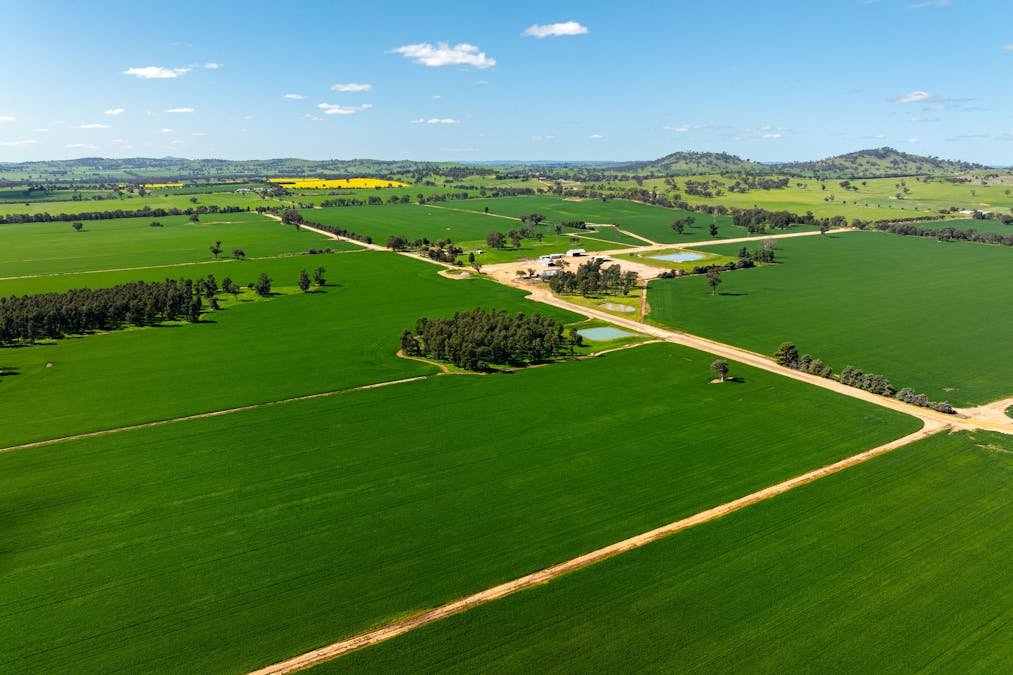484 Merri Meric Road, Henty, NSW, 2658 - Image 19