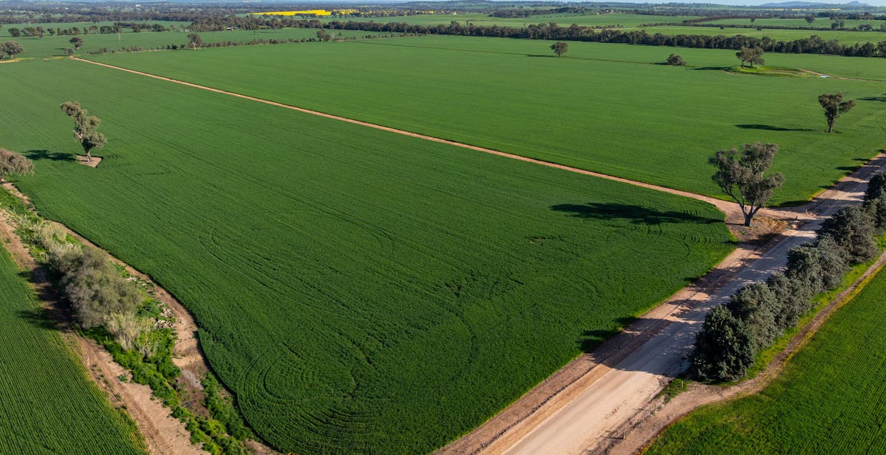 484 Merri Meric Road, Henty, NSW, 2658 - Image 21