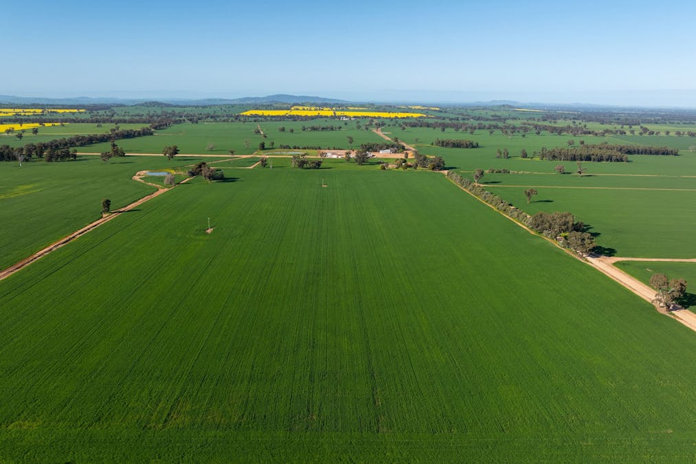 484 Merri Meric Road, Henty, NSW, 2658 - Image 22