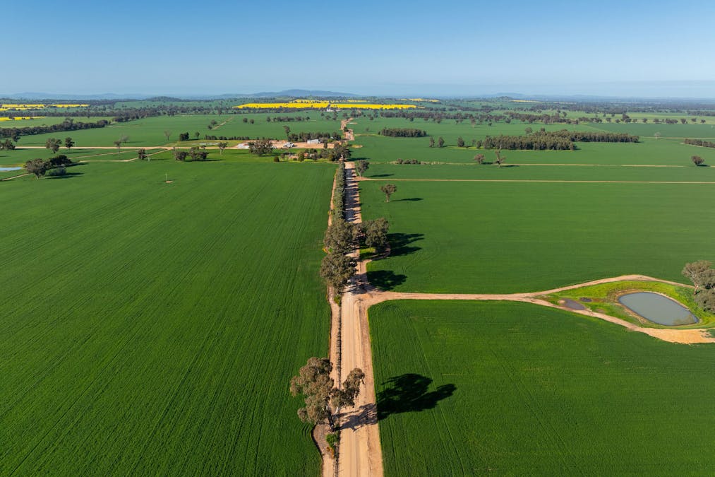 484 Merri Meric Road, Henty, NSW, 2658 - Image 23