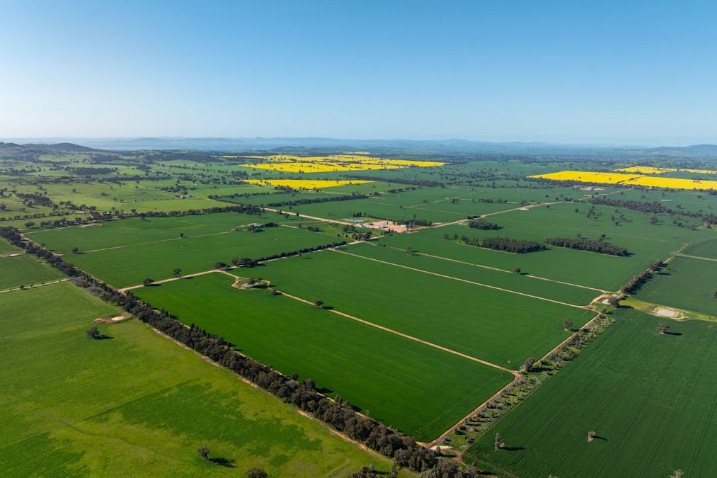 484 Merri Meric Road, Henty, NSW, 2658 - Image 5