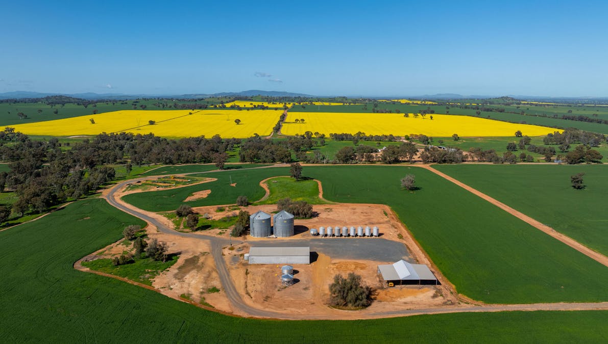 484 Merri Meric Road, Henty, NSW, 2658 - Image 6