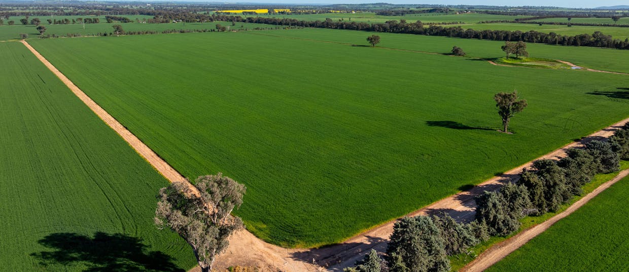 484 Merri Meric Road, Henty, NSW, 2658 - Image 24
