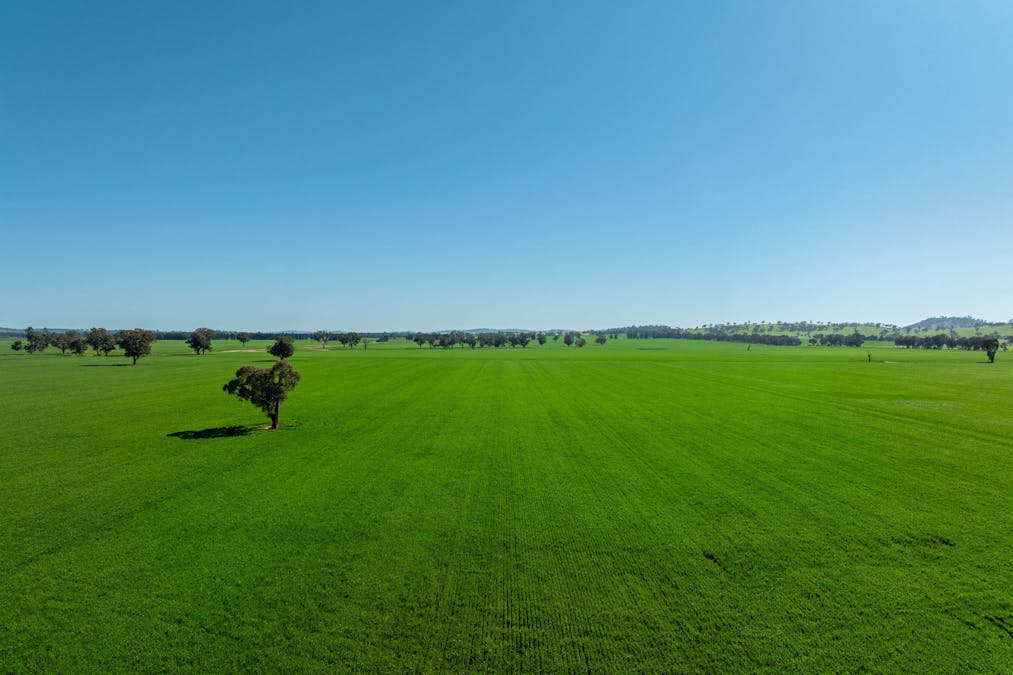 484 Merri Meric Road, Henty, NSW, 2658 - Image 25