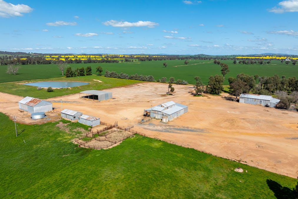 484 Merri Meric Road, Henty, NSW, 2658 - Image 10