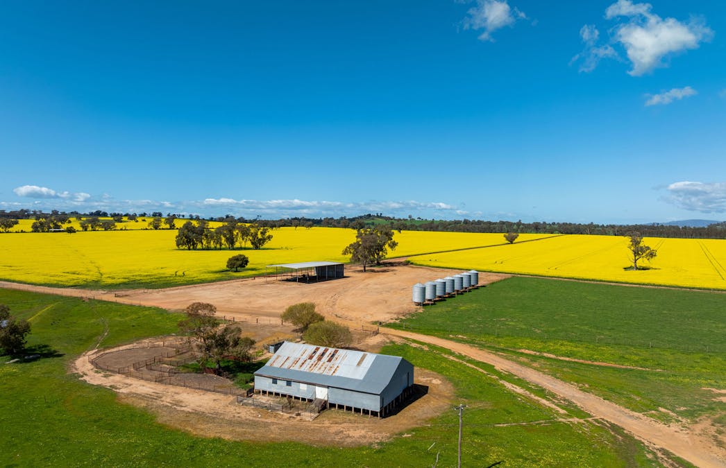 484 Merri Meric Road, Henty, NSW, 2658 - Image 11
