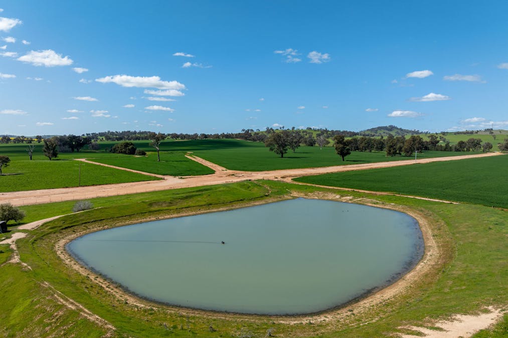 484 Merri Meric Road, Henty, NSW, 2658 - Image 17