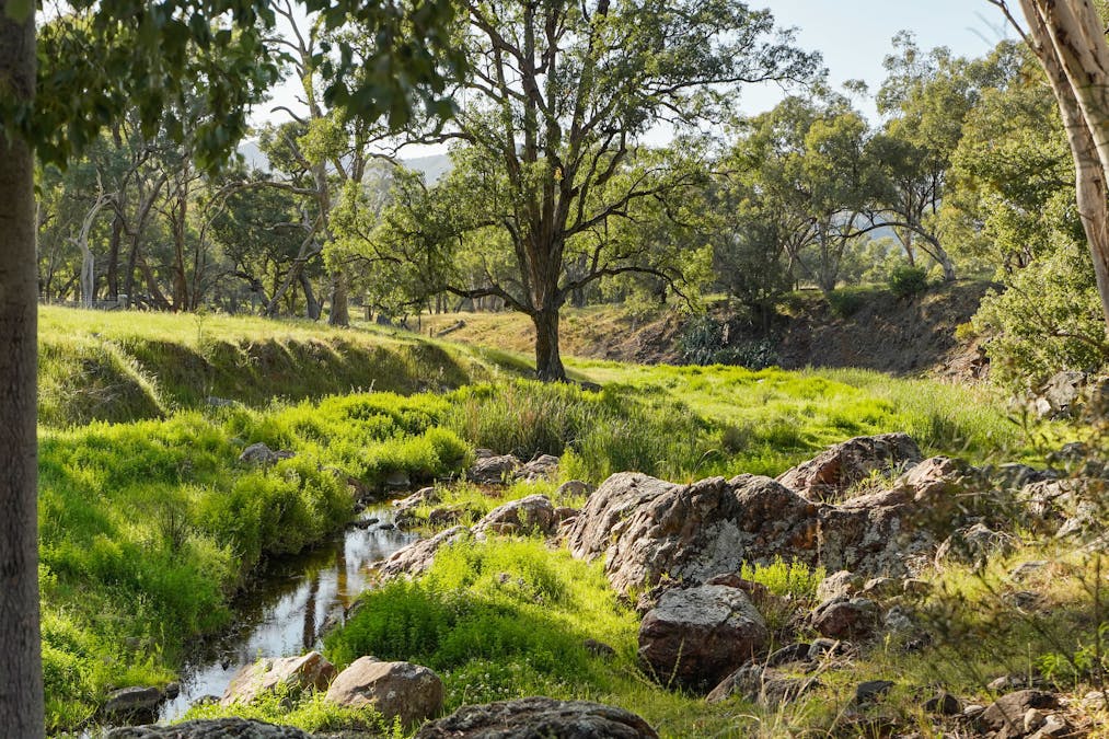 701 Yarragal Road, Yarragal, NSW, 2820 - Image 2