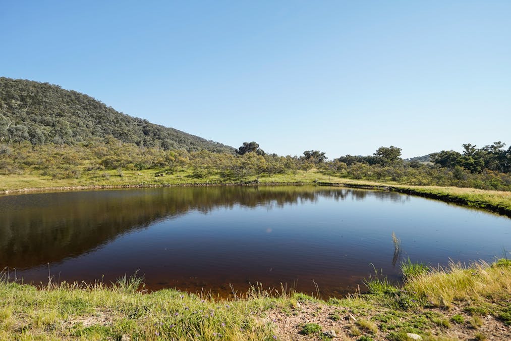 701 Yarragal Road, Yarragal, NSW, 2820 - Image 3