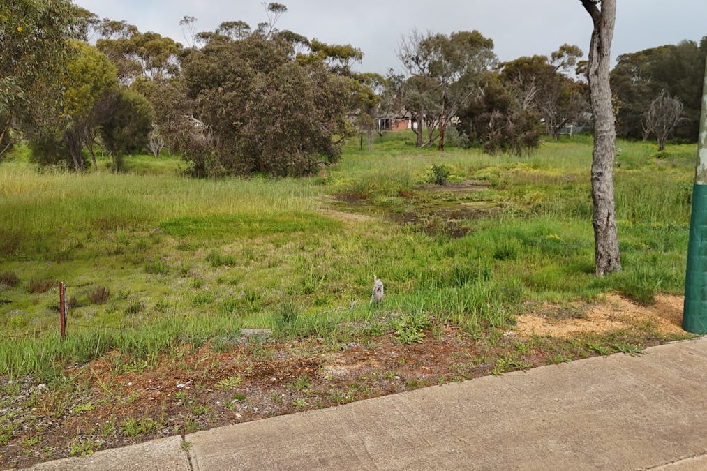 367/Conroy Street, Katanning, WA, 6317 - Image 11