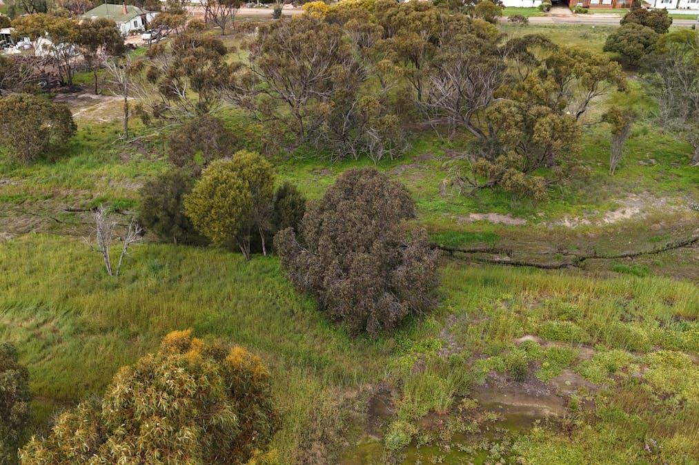 367/Conroy Street, Katanning, WA, 6317 - Image 7
