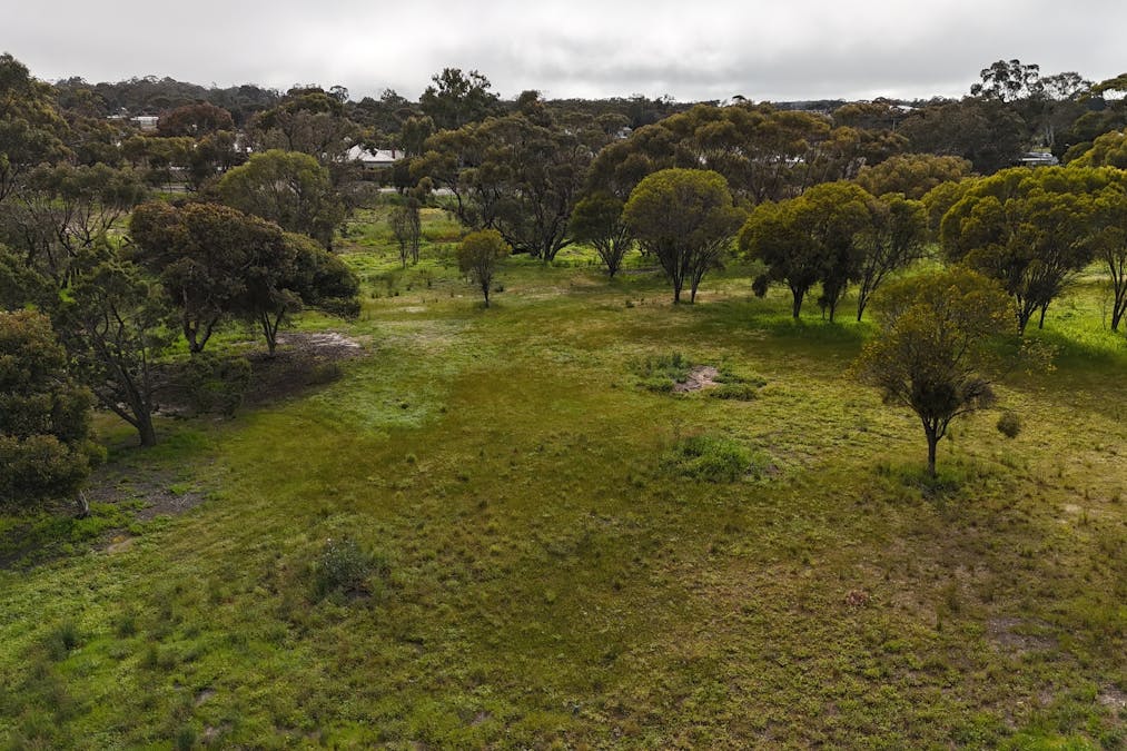 366/Dijon Street, Katanning, WA, 6317 - Image 5