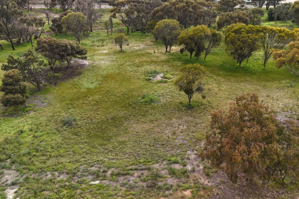 366/Dijon Street, Katanning, WA, 6317 - Image 6