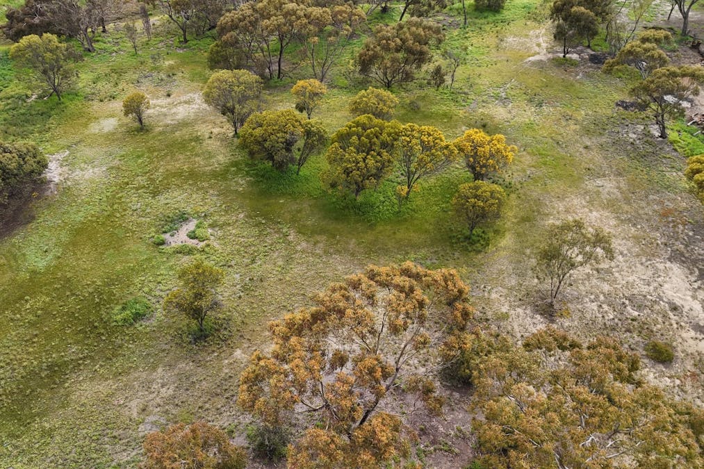 366/Dijon Street, Katanning, WA, 6317 - Image 7