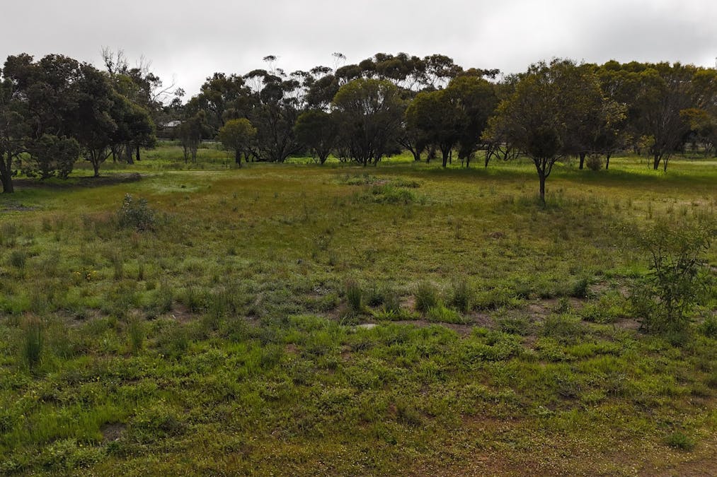 366/Dijon Street, Katanning, WA, 6317 - Image 10