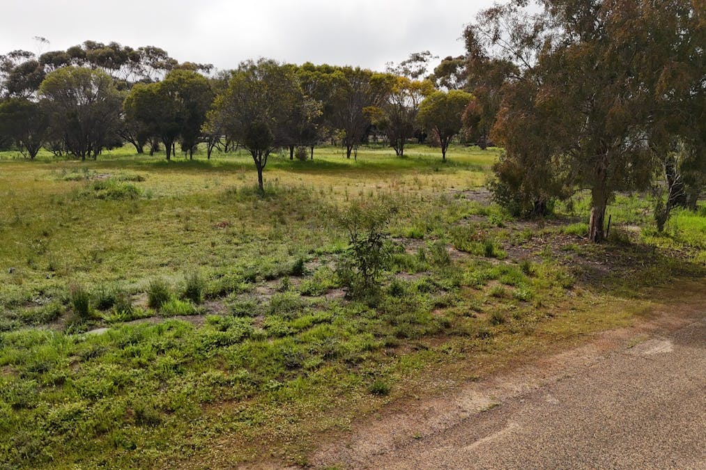 366/Dijon Street, Katanning, WA, 6317 - Image 2
