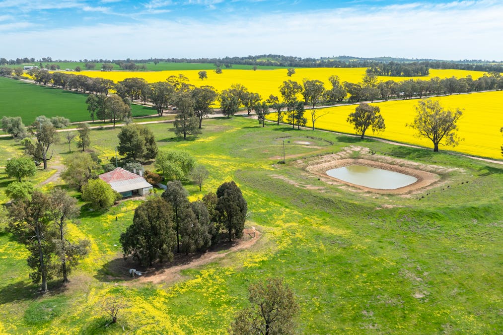 596 Gum Swamp Road, Balldale, NSW, 2646 - Image 4