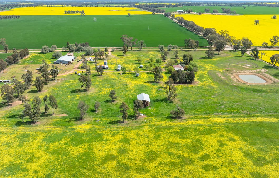 596 Gum Swamp Road, Balldale, NSW, 2646 - Image 10