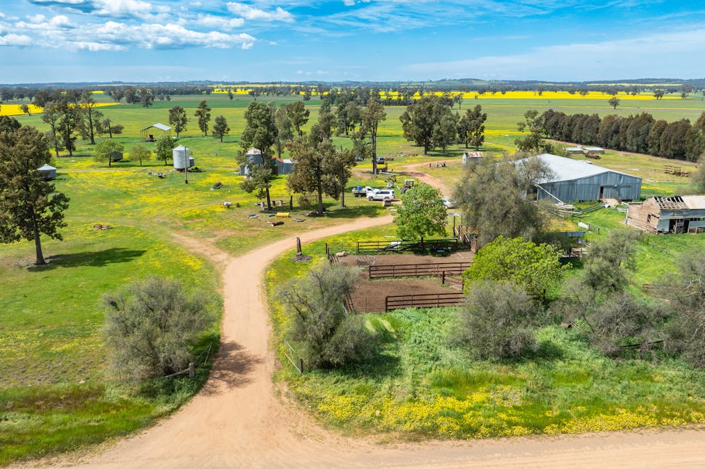 596 Gum Swamp Road, Balldale, NSW, 2646 - Image 12