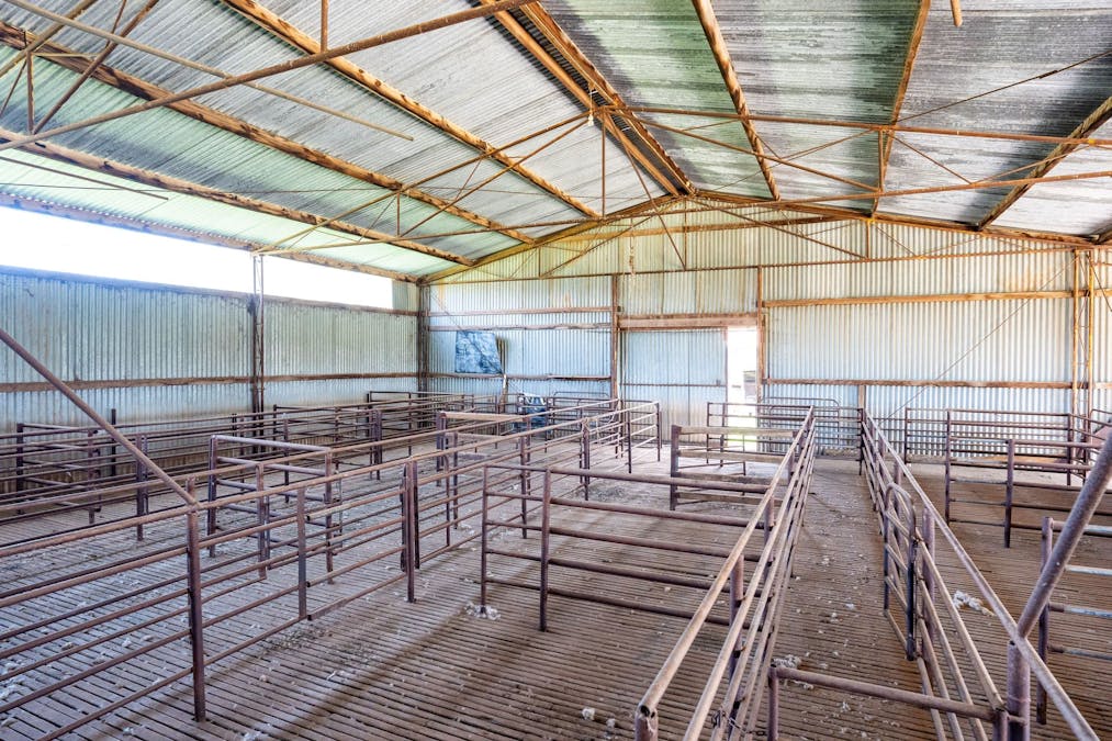 596 Gum Swamp Road, Balldale, NSW, 2646 - Image 13