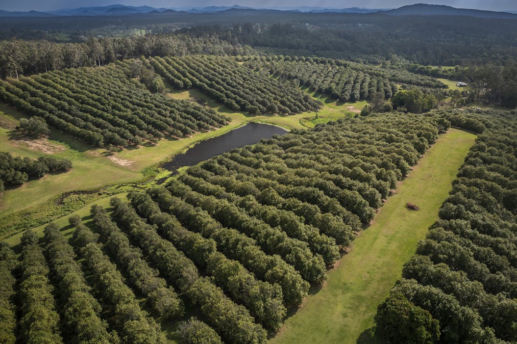 70 Aural Vale Road, North Deep Creek, QLD, 4570 - Image 10