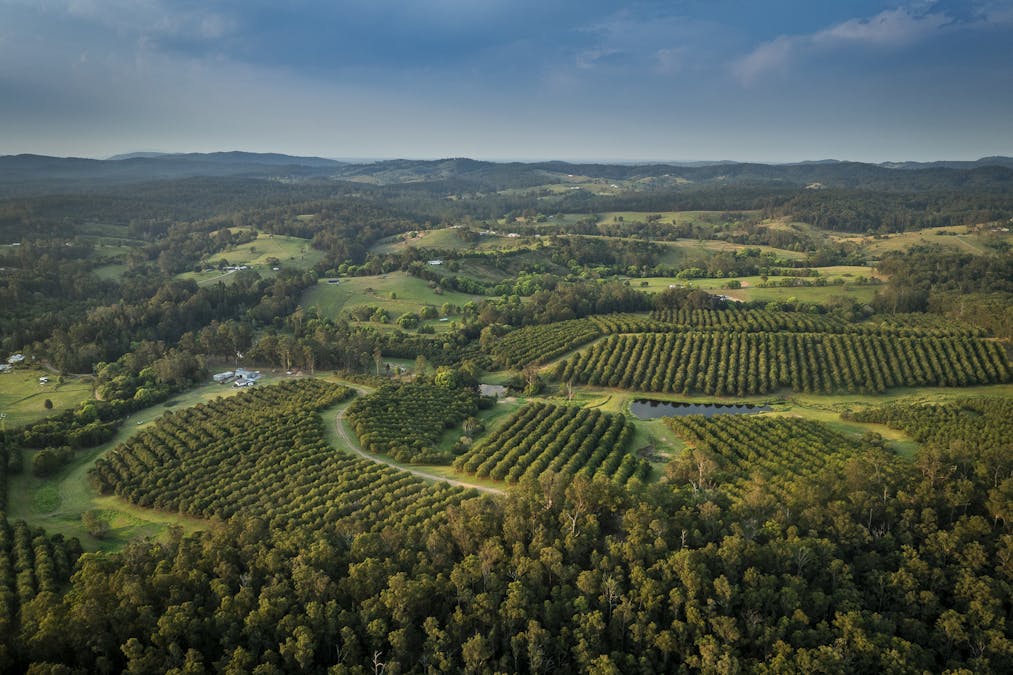 70 Aural Vale Road, North Deep Creek, QLD, 4570 - Image 1