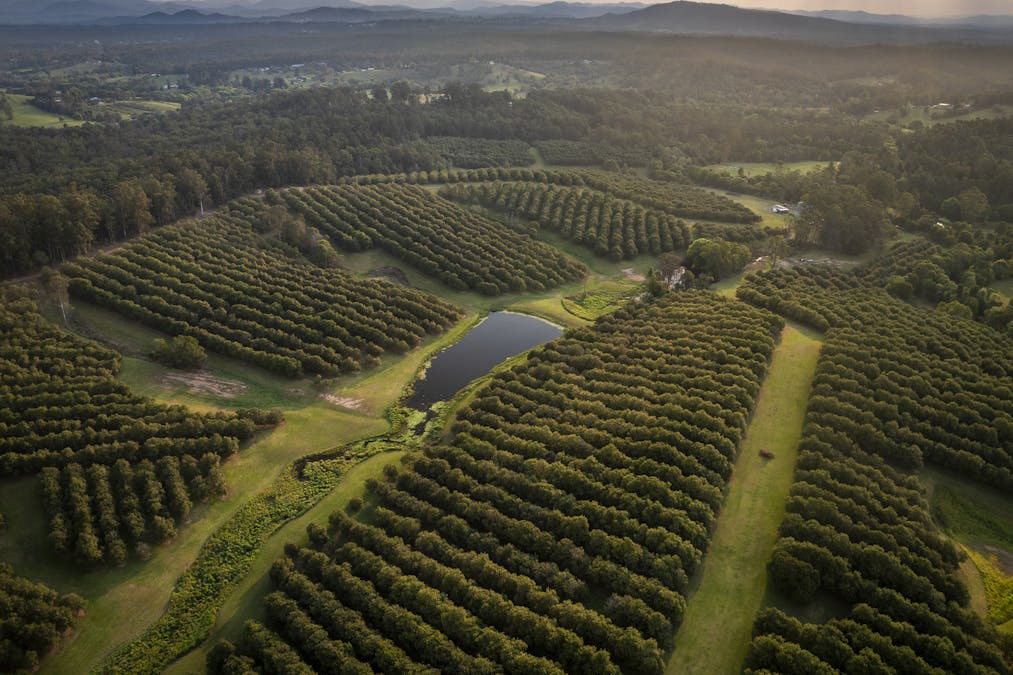 70 Aural Vale Road, North Deep Creek, QLD, 4570 - Image 2