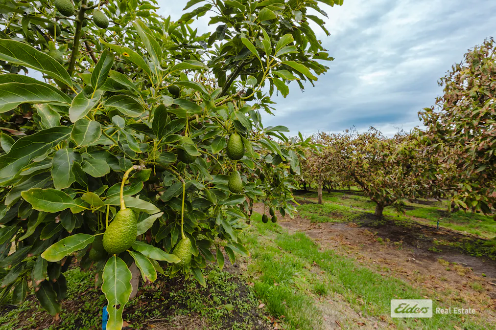 71 Tennessee Road, Lowlands, WA, 6330 - Image 31