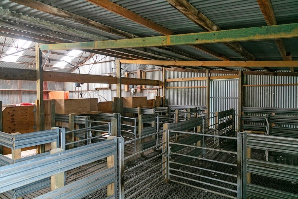 623 Three Chain Road, Haines, SA, 5223 - Image 9