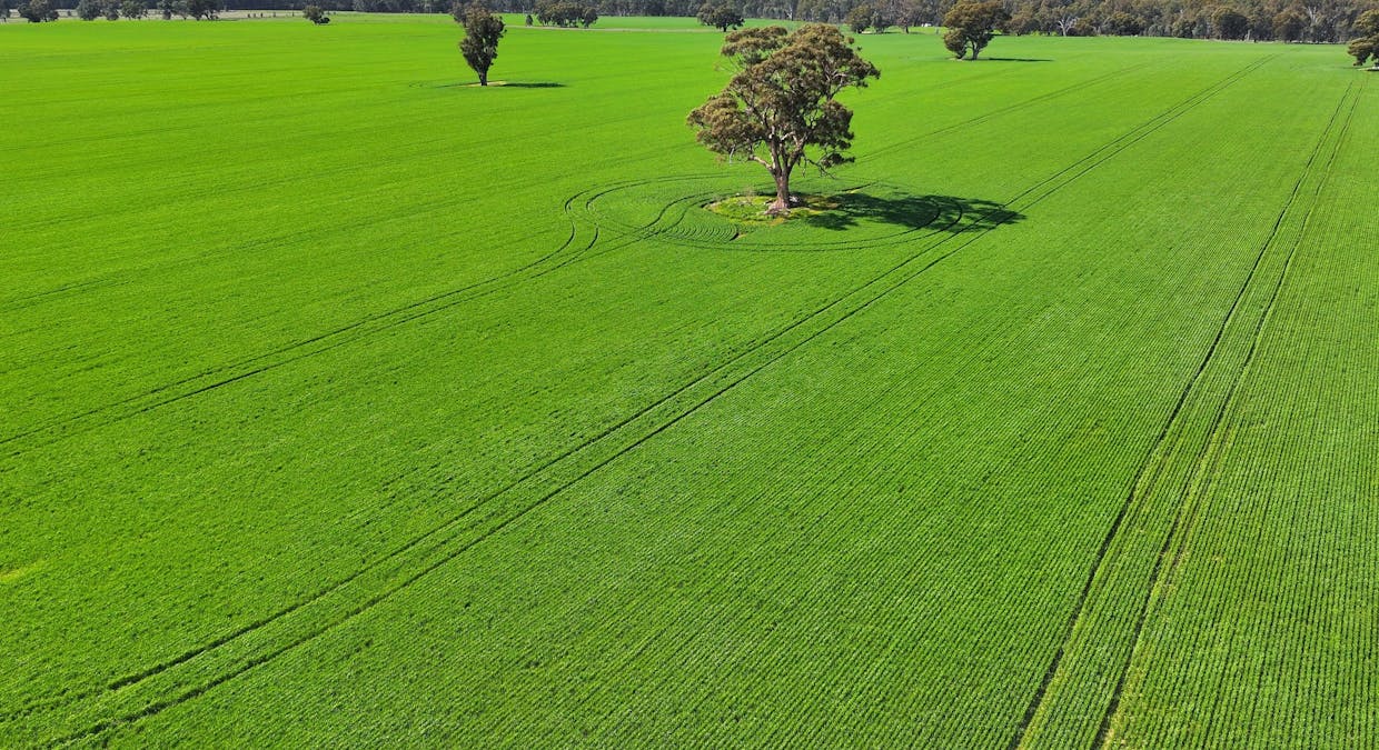 2855 Wangaratta-Yarrawonga Road, Peechelba, VIC, 3678 - Image 1