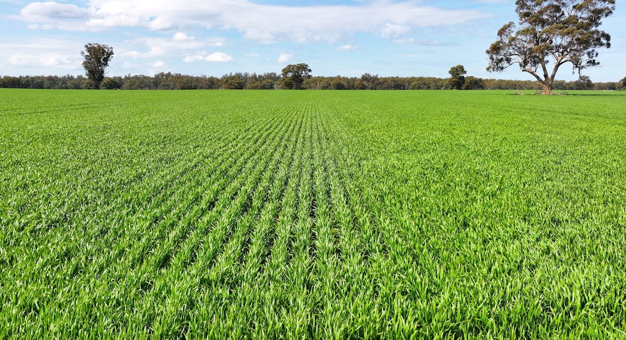 2855 Wangaratta-Yarrawonga Road, Peechelba, VIC, 3678 - Image 3