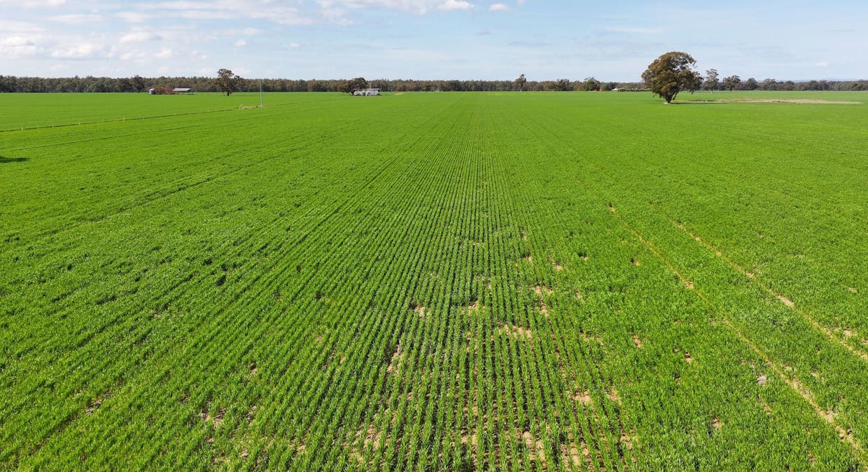 2855 Wangaratta-Yarrawonga Road, Peechelba, VIC, 3678 - Image 12