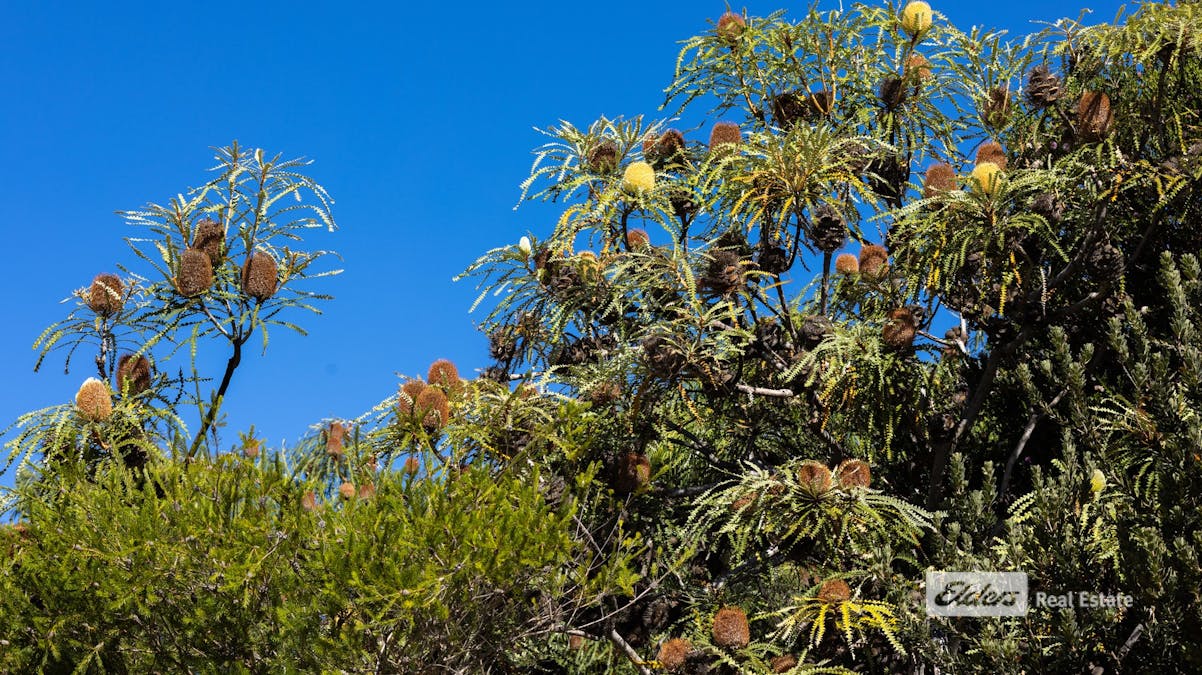 52 Gneiss Hill Road, Bremer Bay, WA, 6338 - Image 15