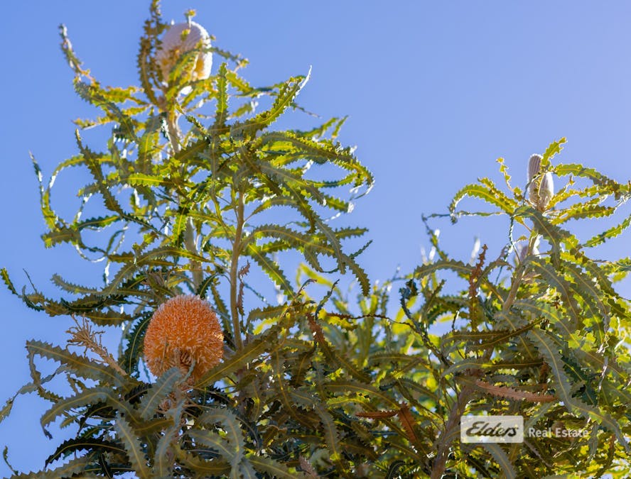 52 Gneiss Hill Road, Bremer Bay, WA, 6338 - Image 19