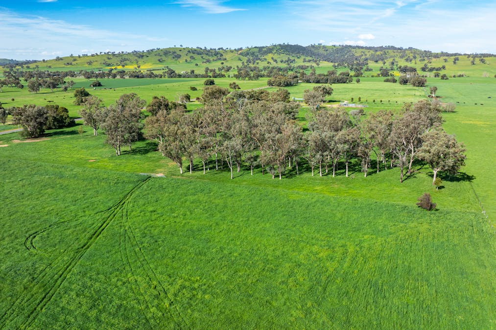 65 Methodist Road, Bungowannah, NSW, 2640 - Image 23