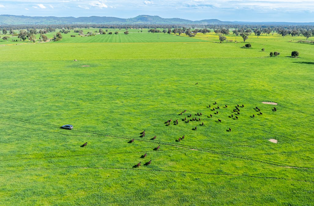 65 Methodist Road, Bungowannah, NSW, 2640 - Image 21