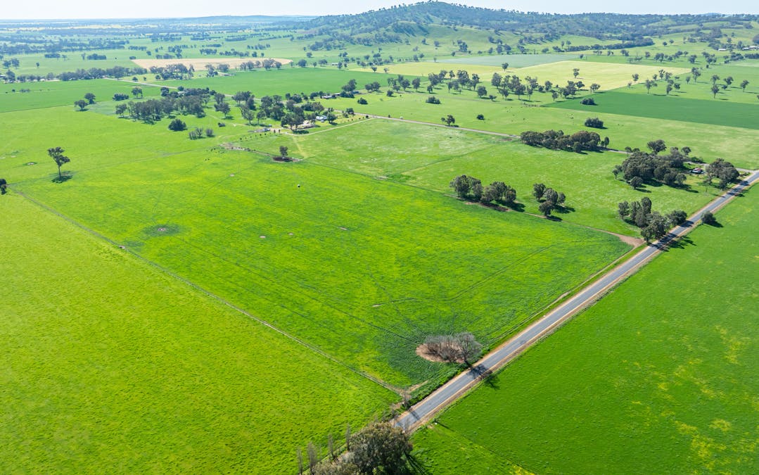 65 Methodist Road, Bungowannah, NSW, 2640 - Image 20